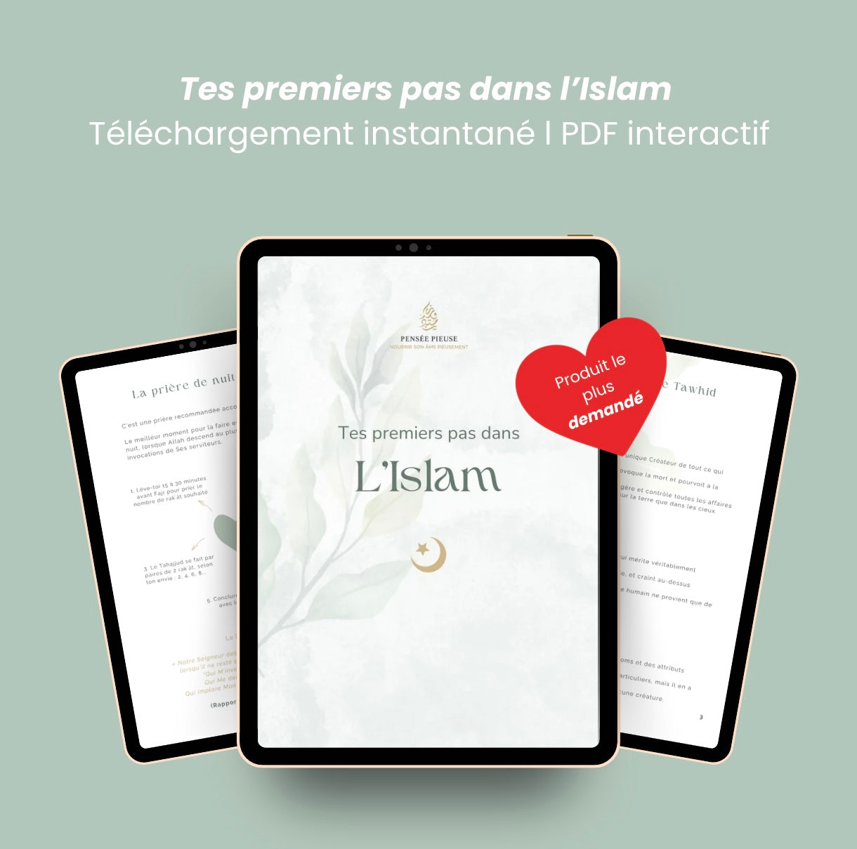 Tes premiers pas dans l'Islam Digital